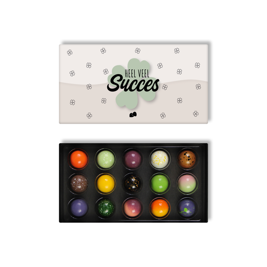 Succes chocolade bonbons 15 stuks